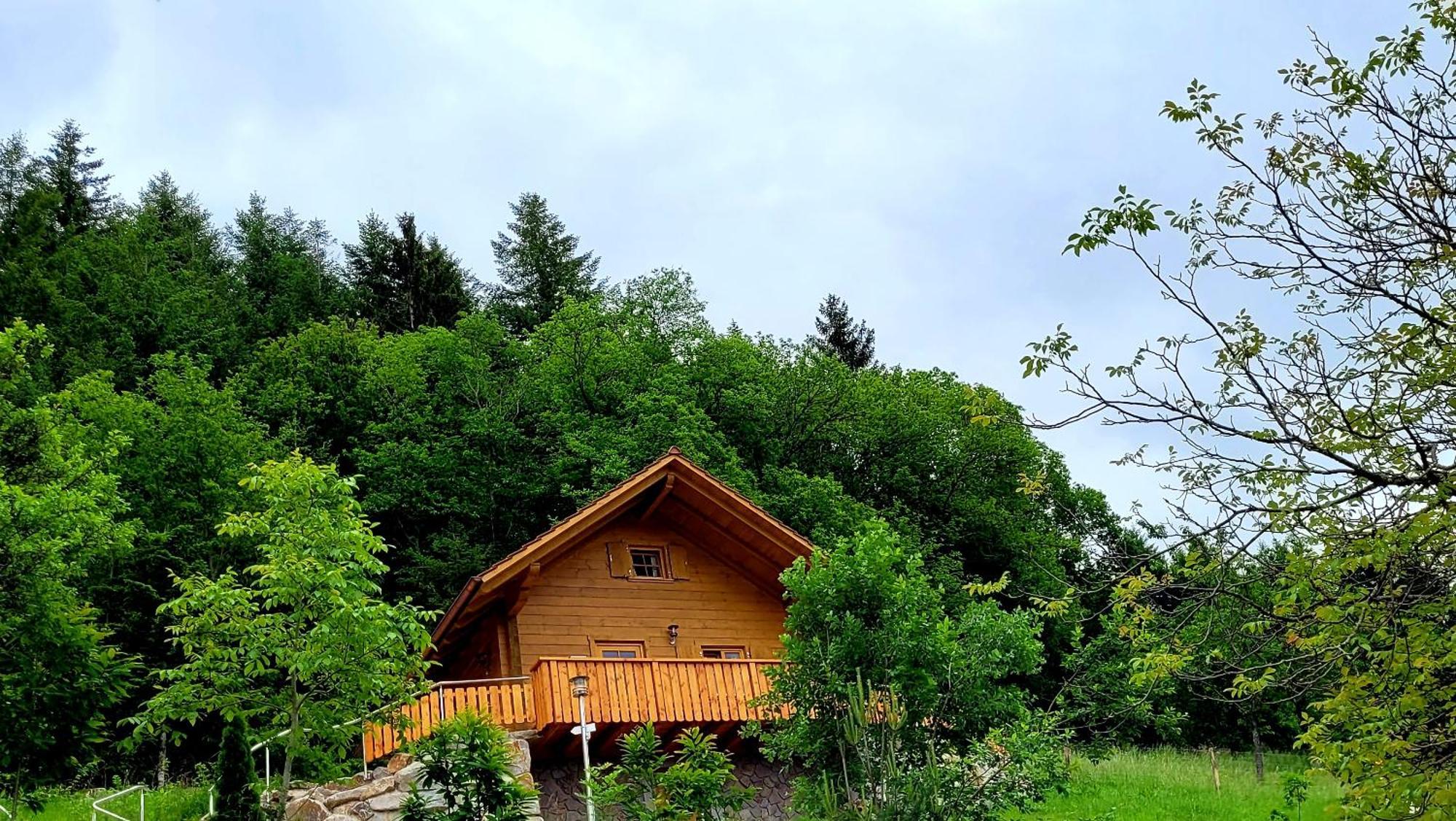 Apartment Fischer Seebach