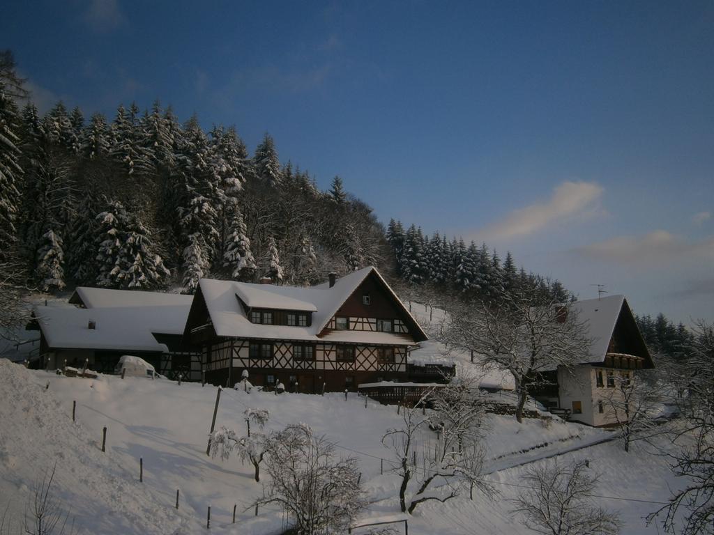 Apartment Fischer *