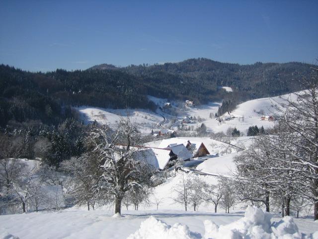 Apartment Fischer