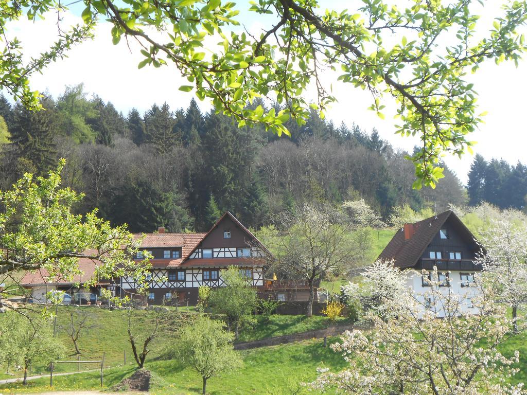 Fischer Seebach